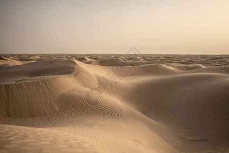 撒哈拉沙漠中美丽的沙丘突图片