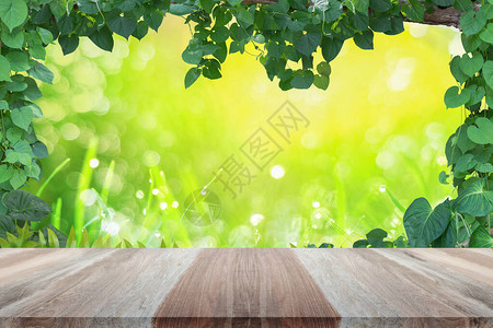 木桌顶有植物藤树叶绿框和绿色背面的绿色背景图片