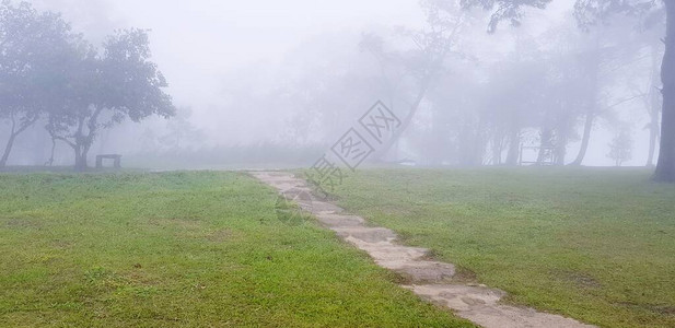 泰国黎府PhuRua公园白雾中绿草场和树木的路径或人行道图片