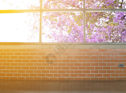 水泥墙上的窗帘和春天的阳光景色图片