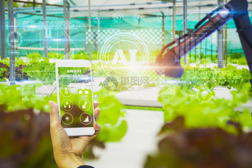 使用具有人工智能或AI技术的智能手机系统控制机器人使用机械臂检查质量和收获农产品卫星跟踪技术农图片