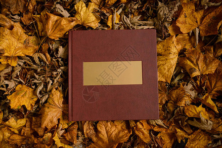 皮革棕色的书有金名牌在褐叶的背景上图片