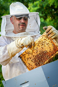 穿着防护服控制蜂群和蜜蜂的养蜂人图片