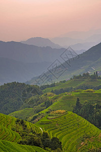 广西壮族自治区桂林市北部村龙脊梯田的一部分背景图片