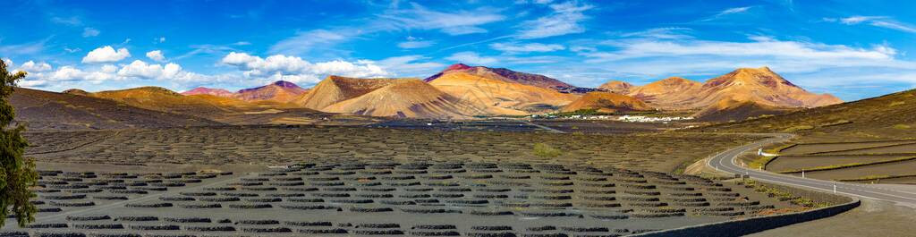 西班牙加那利群岛兰萨罗特火山葡萄园的风景黑色火山土壤上的拉图片