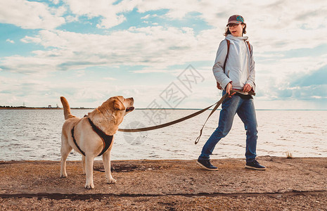 有个女孩跟拉布多人狂犬病一起漫步在码头边上和图片