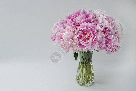 美丽的粉红色牡丹花束在白色背景上的透明花瓶中文本的复制空间问候概图片