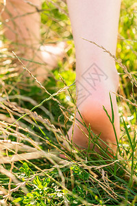 夏天在草地上行走的赤脚女腿的后视图图片
