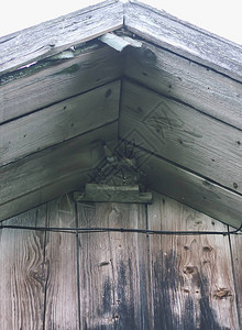 燕子在旧农村房子的木墙上筑巢图片