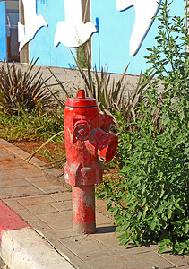 卡萨布兰卡人行道上的红火管在阳光明媚背景模糊的日子里图片