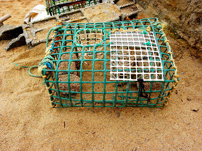 在海港的网状鱼陷阱图片