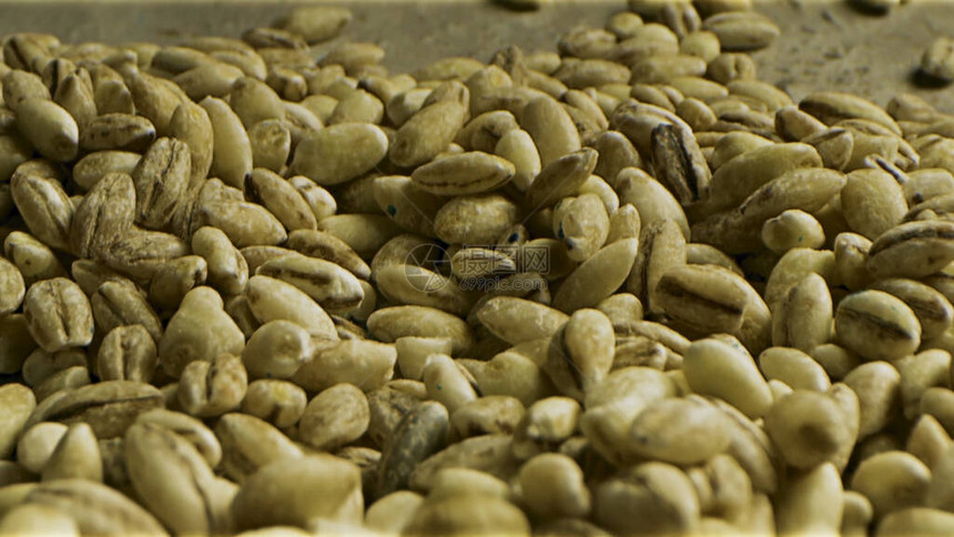 关闭未烘烤的咖啡豆背景一堆用于饮料制备的许多绿色未烤过的埃塞俄图片