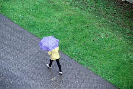 城里的雨天图片