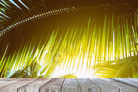配有带浅渗漏背景的椰子叶的木质桌图片