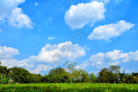 蓝天背景下白云的城市绿地风光图片