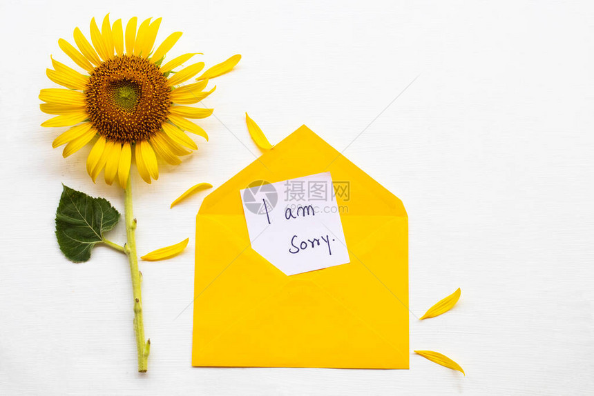 黄花向日葵安排的黄色信封上写着抱歉的信息卡笔迹平的明信片风图片
