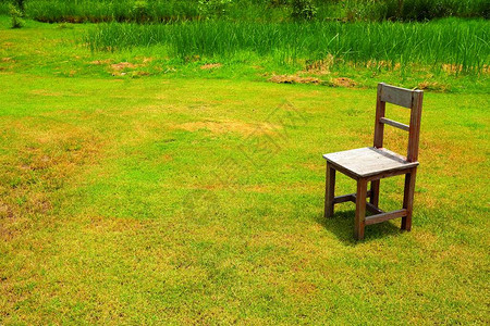 在绿色领域的旧木椅图片