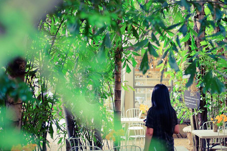 美丽的年轻亚洲女人的背影站在自然绿色花园图片