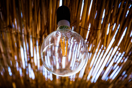 现代节能灯丝led灯泡爱迪生式灯在带茅草屋顶现代技术生态概念的乡图片