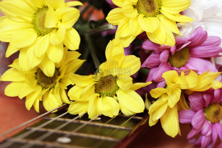 吉他上的春天色的雏菊如此接近图片