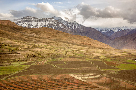 印度斯皮提河谷的Himalayan村Langza山图片