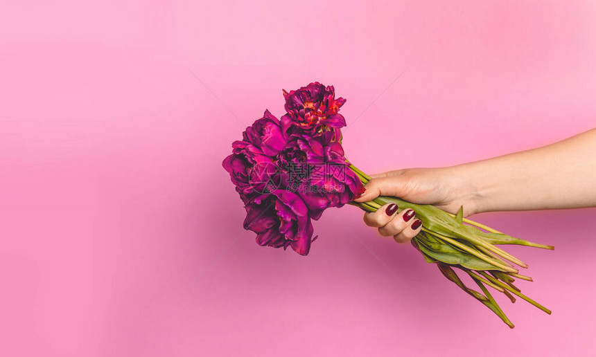 女手握着一束美丽的布贡迪花朵图片