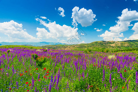 阳光明媚的夏日风景亚美尼亚山地覆盖图片