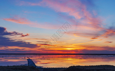 粉色盐湖上的日落图片