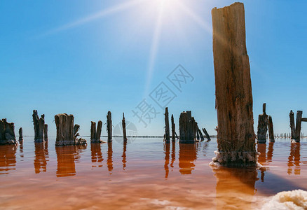 粉色盐湖上的日落图片