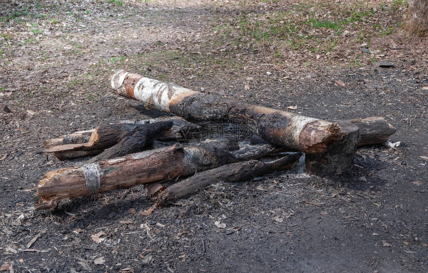 被遗弃的熄灭的篝火在树林里图片