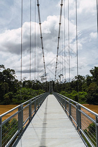 亚马孙河上桥梁金属结构大桥等图片