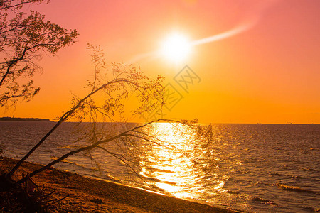 海上日落海面上温暖的阳光日落海浪太阳从地平线上图片