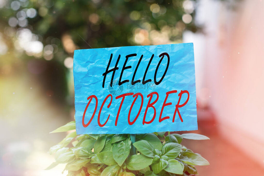 概念手写显示你好十月迎接一年中第10个月时使用的概念意义问候语附在棍子上并放置在草图片
