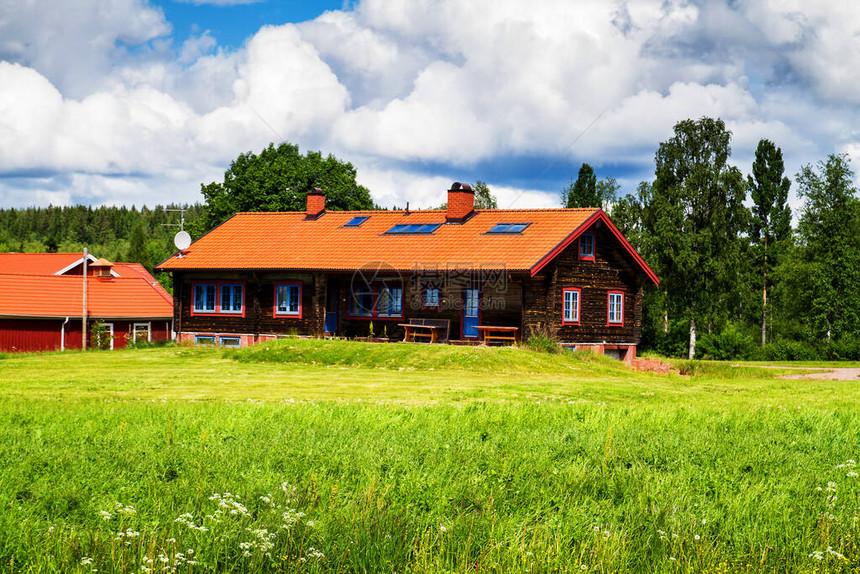瑞典农村地区典型的木图片