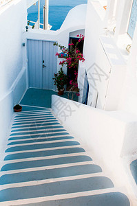 希腊圣托里尼岛奥亚村通往大海的传统狭窄的楼梯街道图片