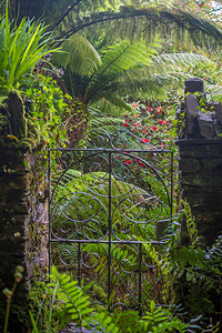 爱尔兰西科克格伦加里夫加里尼什岛上的美丽花园高清图片