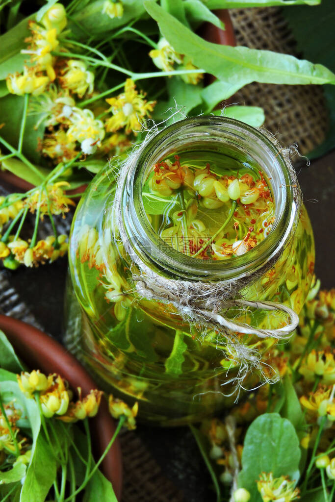 用菩提树排毒饮料凉茶椴树花酮图片