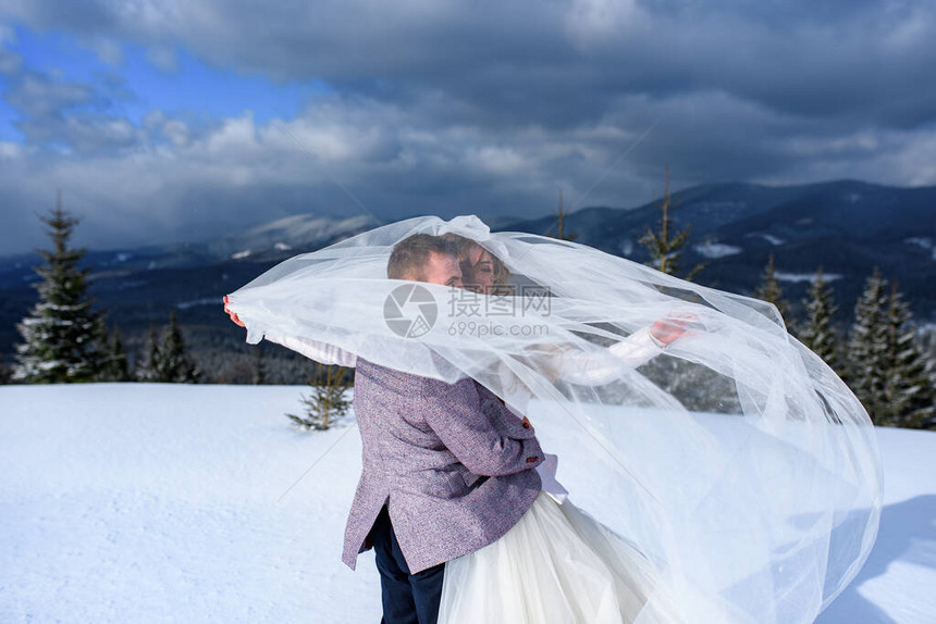 新娘和新郎在散步时面纱下冬季婚礼图片