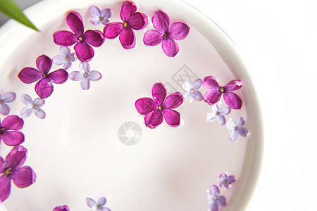 五尖丁香花在一杯水的淡紫色花中水疗仪式丁香枝有一朵花图片