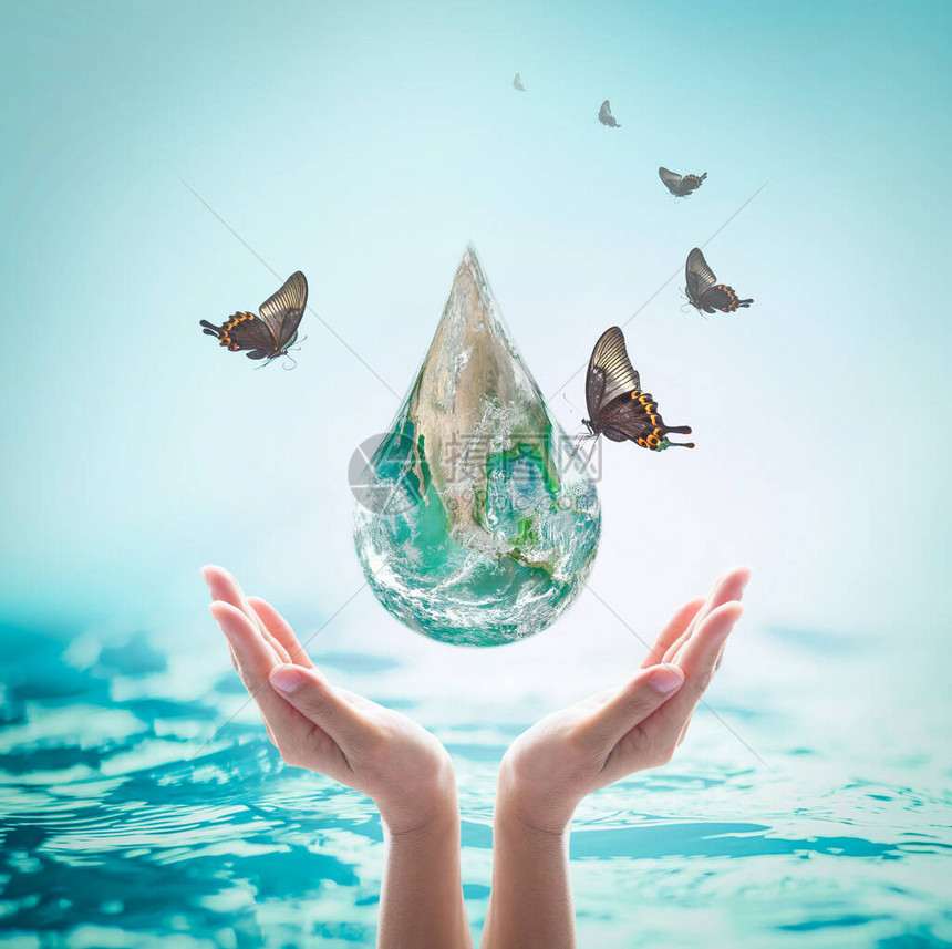 世界海洋日拯救水运动可持续生态系统概念与绿地落到妇女手中的蓝海背景图片