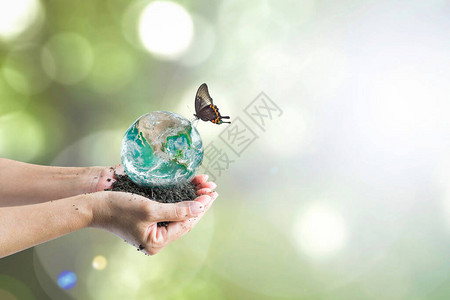 世界环境日人们手上的绿色星球图片