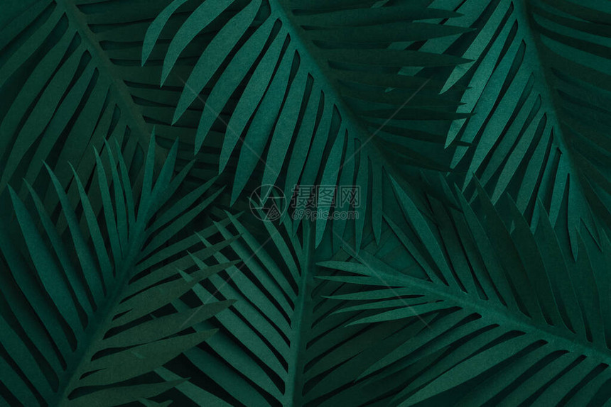 棕榈树叶深绿色背景纹理夏季构成顶视图片