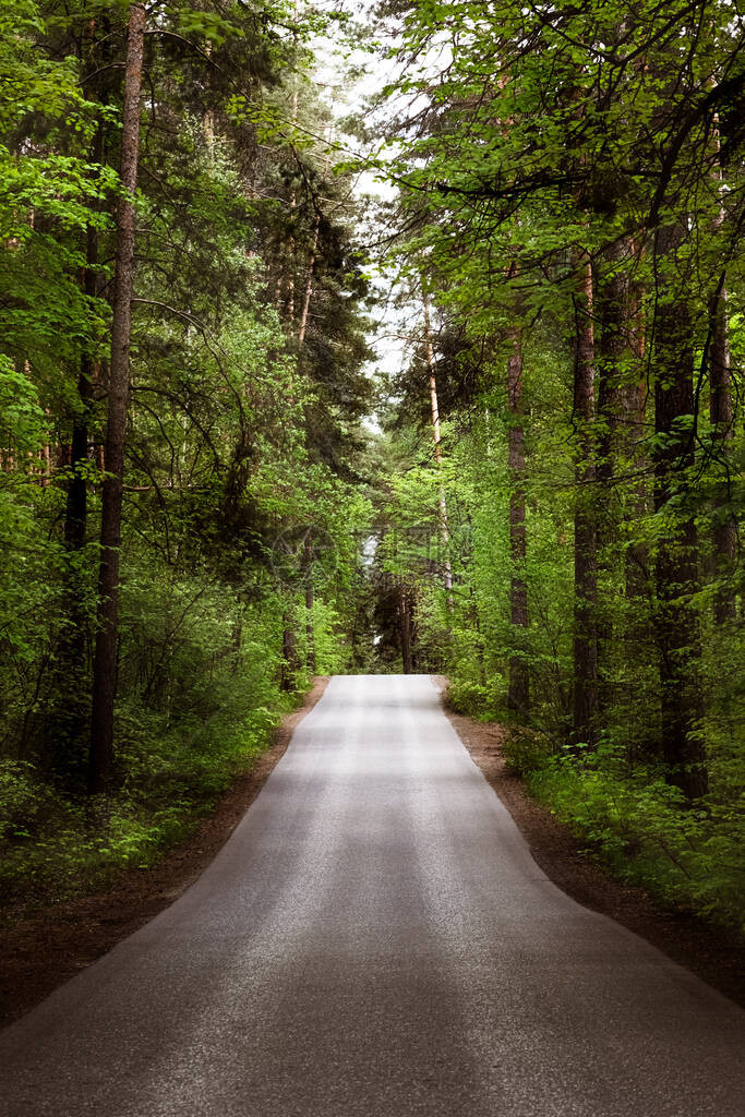 一条美丽的绿树成荫的道路通向森林太阳穿过树枝垂直照片穿过美丽的森林很长的路要图片