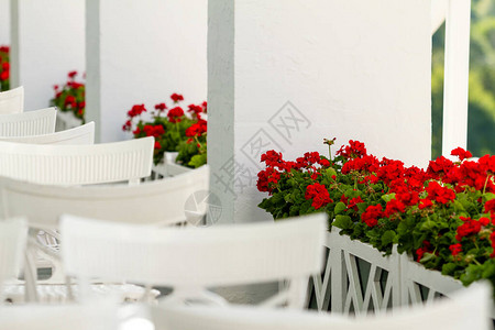 餐厅有白色椅子和桌椅的BalconyBalc图片