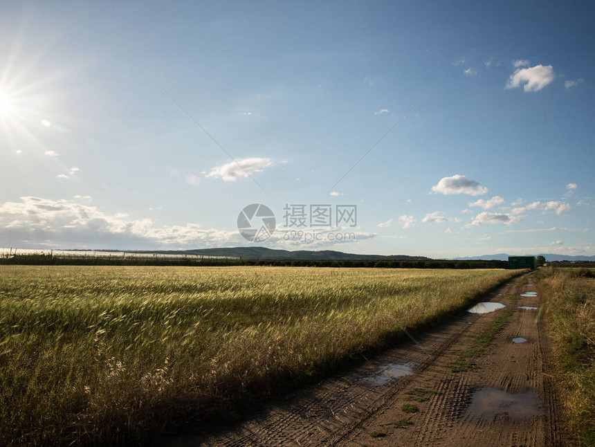 雨天后田野里的乡间小路图片