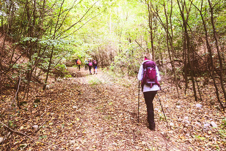 步行和探索自然健康的活跃生活方式在森林中行走的女徒步者回顾图片