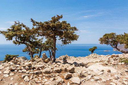 罗得岛西侧有野生植被的岩石海岸希腊图片