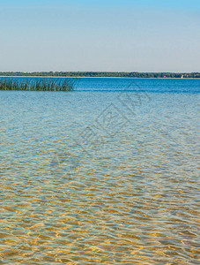 在阳光明媚的一天Shatsk湖Shatsky自然公园图片