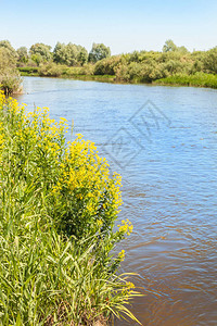 波尔西的小泰特利夫河在阳背景图片