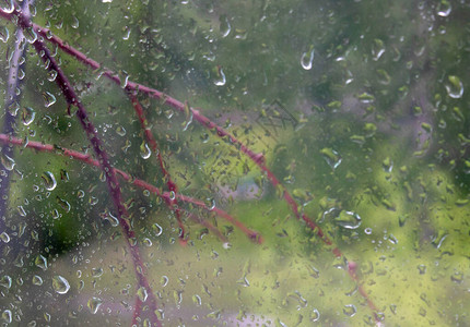 雨落在窗户上背景是绿树图片